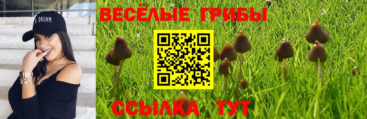 Анапа  купить закладку  Вход с VPN  Псилоцибиновые грибы мицелий 